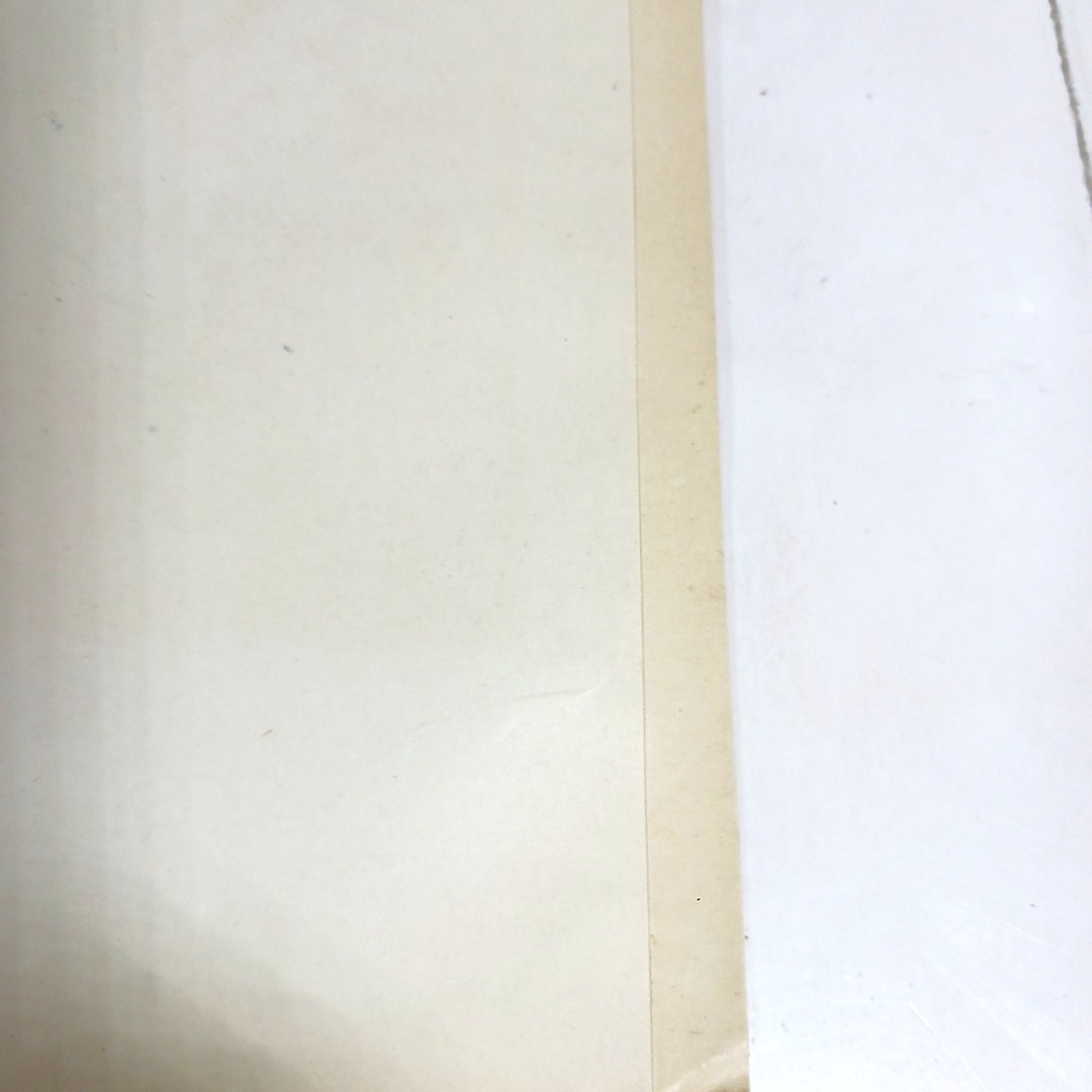 Picture 5 of 6