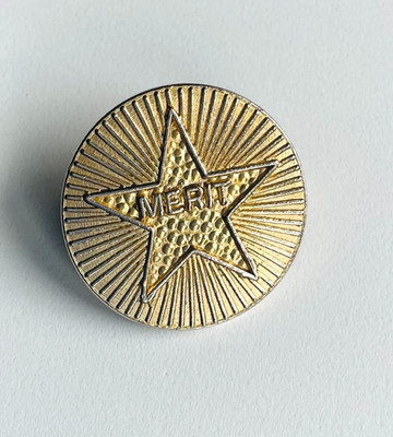 Gold Stern Verdienst Emaille Anstecknadel Anstecker Brosche Belohnung
