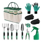 11 Piece Kit Gardening Hand Tools Set Bag Rake Trowel Spray Bottle Greenhouse