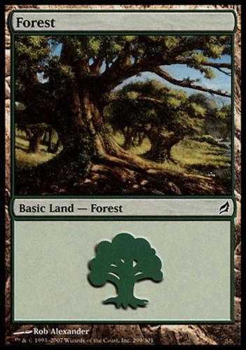 Forest #299 FOIL Lorwyn MtG LP | eBay