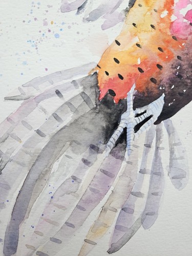 Original watercolour painting signed by Elle Smith Art of a Pheasant bird, decor - Picture 5 of 8