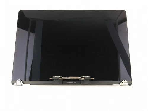 Space Gray LCD Screen Display Assembly Macbook Pro 16" A2141 2020 Gr A- Shadow