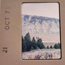 1970s Yellowstone National Park Snapshot Photo