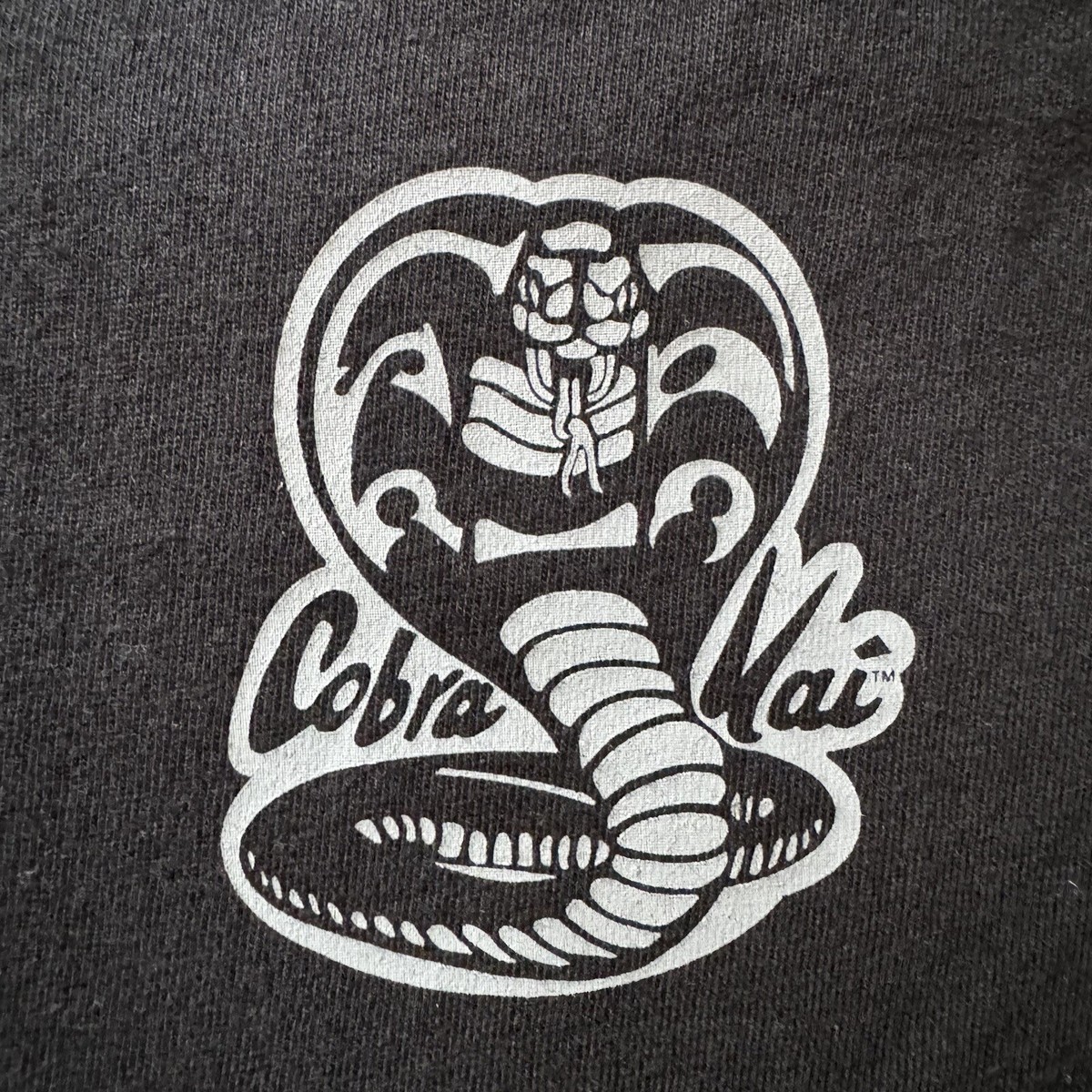 Champion x Cobra Kai Graphic T-Shirt Black Multicolor GT353 590678