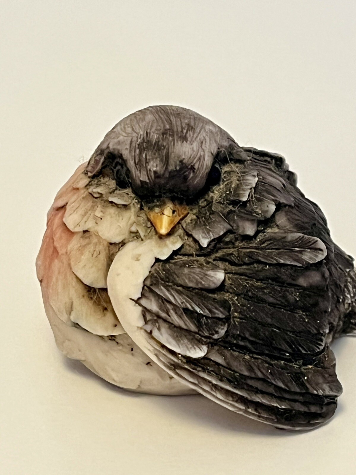 Foto 5 di 11