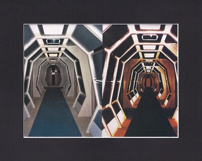 8X10 Matted Print Picture Star Trek Next Generation: Birthright (Corridor)