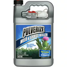 PULVERIZE Weed  Grass Killer, Kid  Pet Safe, Trigger Sprayer - 1 Gallon