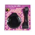 2x 4PCS Salon Hair Colouring Dyeing Brush Comb Mixing Bowl Tint Hairdressing Set