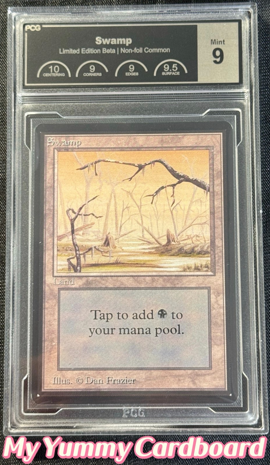 MTG Beta Swamp (B) — PCG 9-Quad++ | Limited Edition Beta 1993 Graded Slab