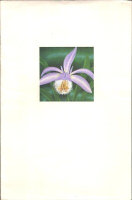 1992 CELEBRITY CRUISES vintage dinner and wine menu PLEIONE FORMOSANA