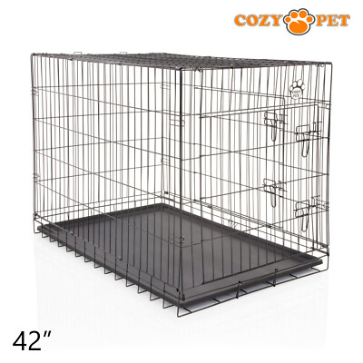 black dog crate