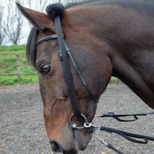 Shires Longieradapter