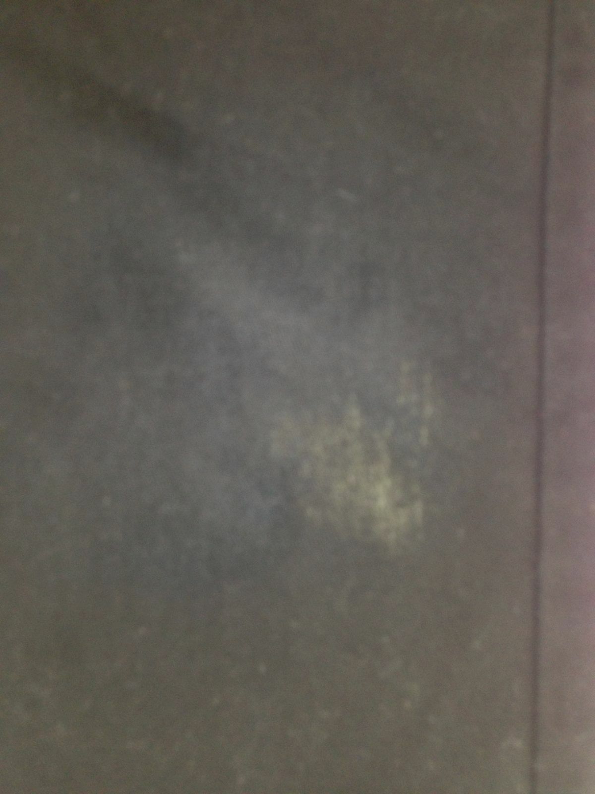 Picture 4 of 4