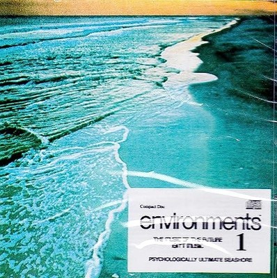 Environments - Environments 1 - Environments CD LBVG The Cheap Fast Free Post