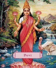 Devi: The Divine Goddess (Minibook) von Bae, James H. | Buch | Zustand sehr gut