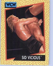 1991 Impel WCW #25 Sid Vicious