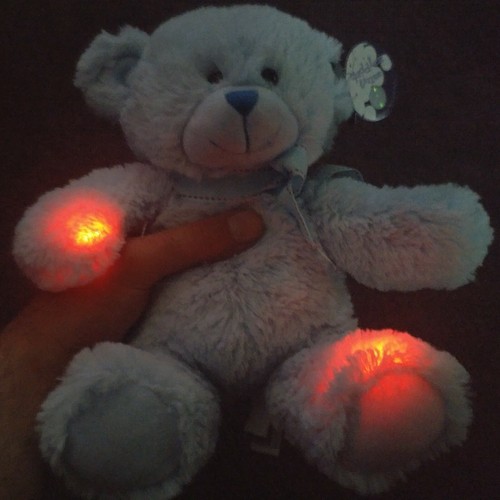 Silent EMF Bear Rem Meter Kii K-ii K2 Rem Ghost Hunting Equipment Static Pod - Picture 7 of 7