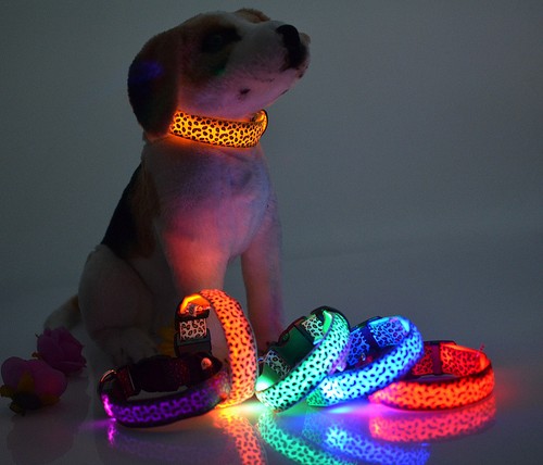 LED Glow Collar Dog Puppy Pet Flashing Light Safety Glow In The Dark FAST POST - Picture 3 of 81