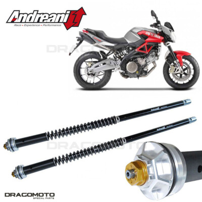 APRILIA Shiver 750 2008-2011 cartridge ANDREANI 105/A01E MISANO EVO