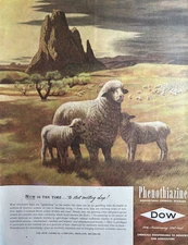 1947 Dow Chemicals Phenothiazine Agricultural Counting Sheep Vintage Print Ad