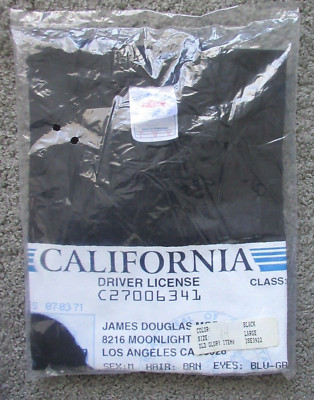 NEW VTG MEN LARGE 1990s JIM MORRISON DOORS LICENSE GRAPHIC T-SHIRT