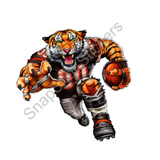 Cincinnati Orange Black Football Weather Resistant Vinyl Sticker/Decal 05