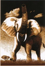 Home Dynamix Zone 7509-502 Beige Area Rug - 5' 3" x 7' 5"