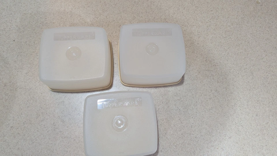 Juego de 3 recipientes de congelador Tupperware Sandwich Keepers tapa bronceada transparente ¡EXCELENTE ESTADO USADO!! Foto 2 de 4