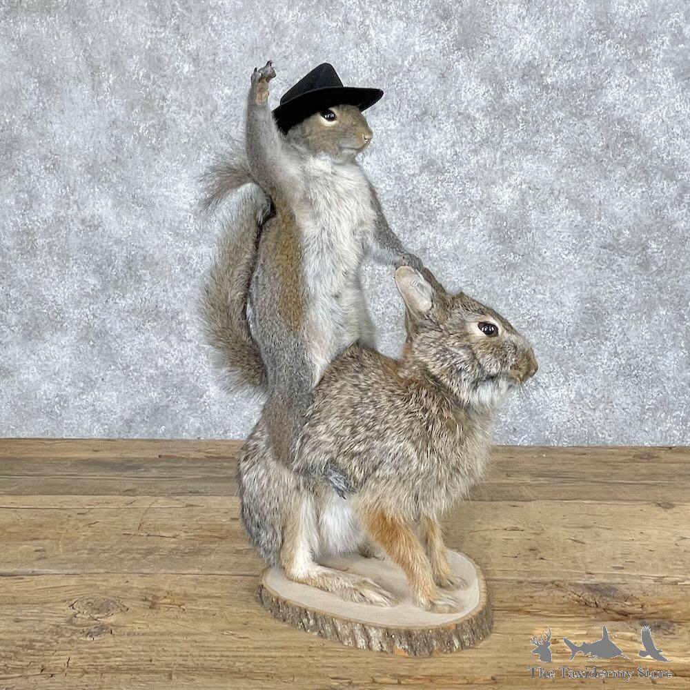 squrrel 4672-1-400x400.jpg