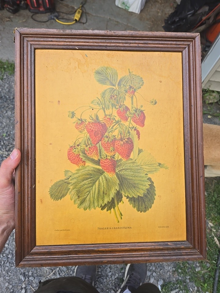 Vintage Wood Spice Rack Cookbook Shelf Cottagecore
