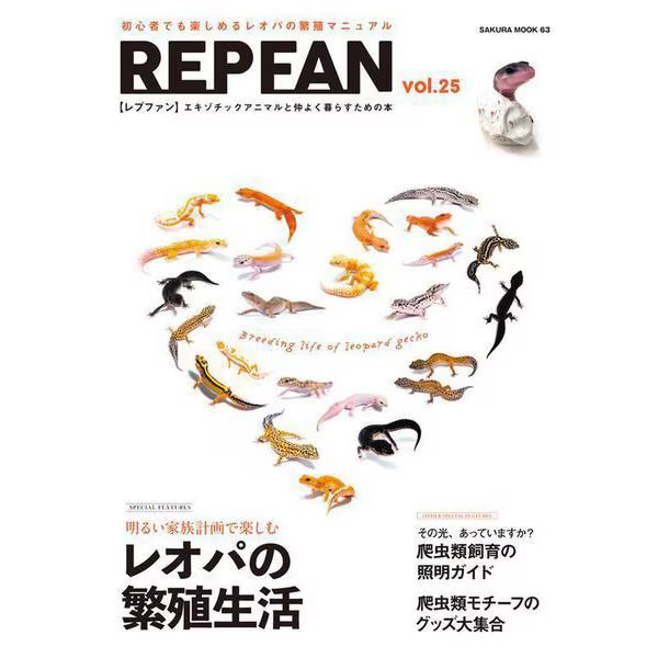 REP FAN vol.25 Mook and others Physical Printed Book Japan Import