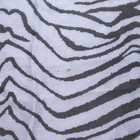 Bild 4 von 9