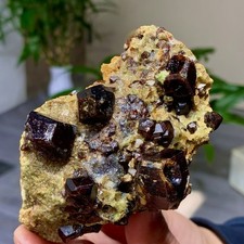 307G Natural Garnet with rock Gorgeous rough raw Crystal Mineral Specimen