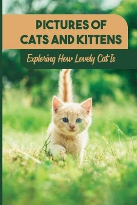 Pictures Of Cats And Kittens: Exploring How Lovely Cat Is: Real Pictures Of Kitt