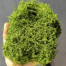 Diorama Realistic Moss Vine Greenery Creeper Model DIY Railway Scene Props Model