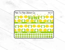 1006-3C~~June 8.5X11 Monthly View Planner Stickers.