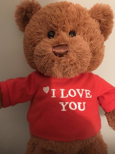 Gund I love you t-shirt Bear Plush Stuffed Animal -New Without Tags - Picture 9 of 12