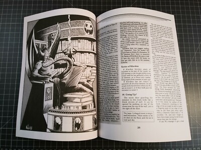 A Paladin In Citadel: Throne Of Bloodstone: Dungeon Set-Piece