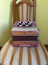 Small working children's accordion, 16 basses, 28 buttons. Accordion for beginne