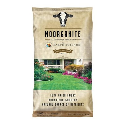 cactus succulent potting mix Miracle Gro Cactus Palm and Succulent Potting Mix
