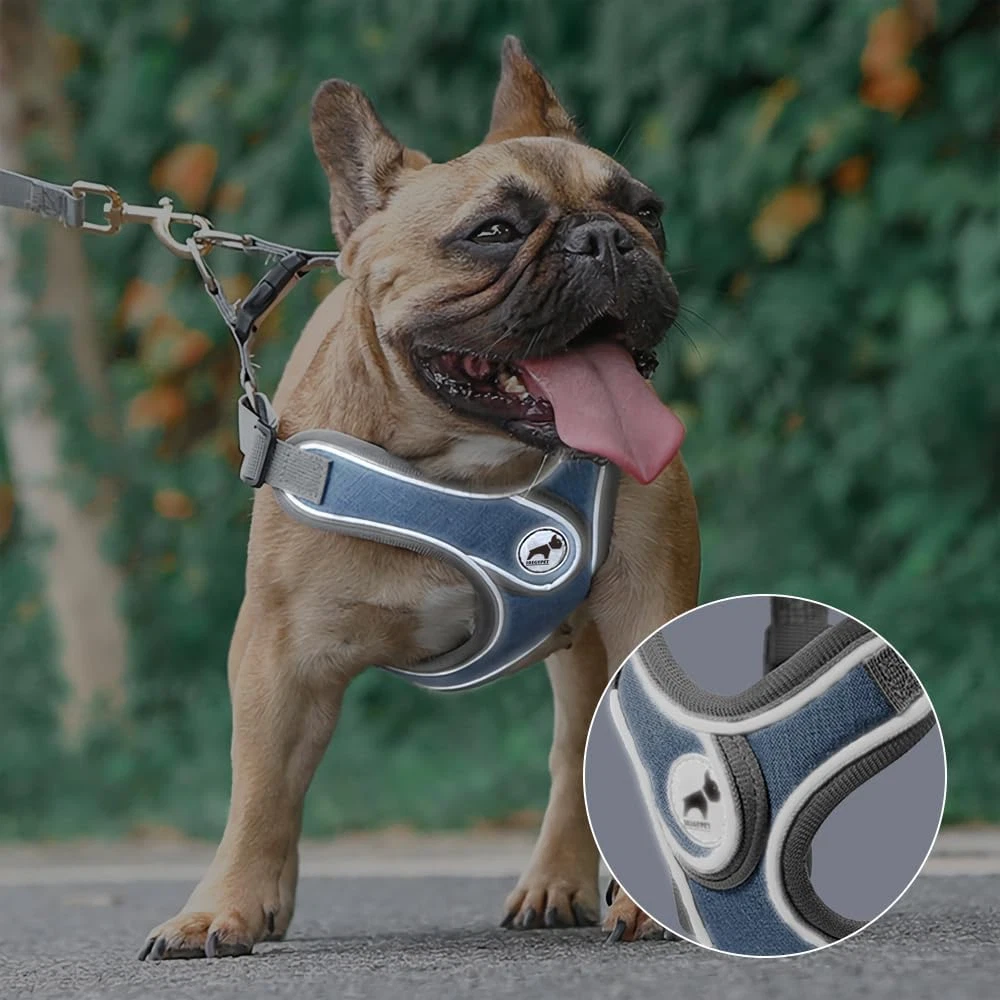Dog Harness with Leash Set, No Pull Adjustable Step in Dog Collars Harness with