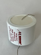 Mundorf MCap EVO Aluminum Oil Capacitor 22uf (22 uf) 450VDC