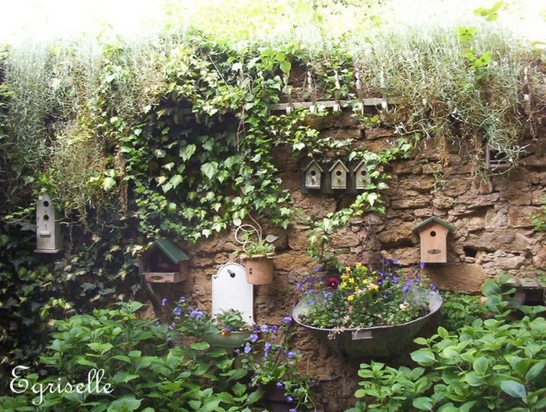 ♫ LIERRE 'Tout Mélange des Variétés' ♫ Graines ♫ Ornementale Grimpante Mellifère - Photo 3/4