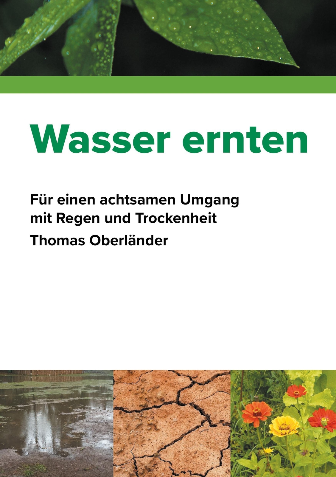 Thumbnail - Wasser Ernten Für Einen Achtsamen Umgang Mit Regen Und Trockenheit