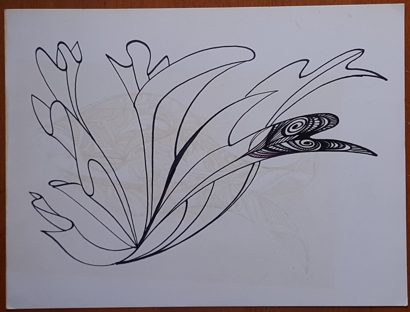 Picture 11 of 12
