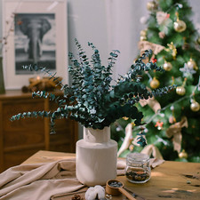 Preserved-Dried-Eucalyptus-Stems,17" Real Natural Eucalyptus Plant Live Fresh...