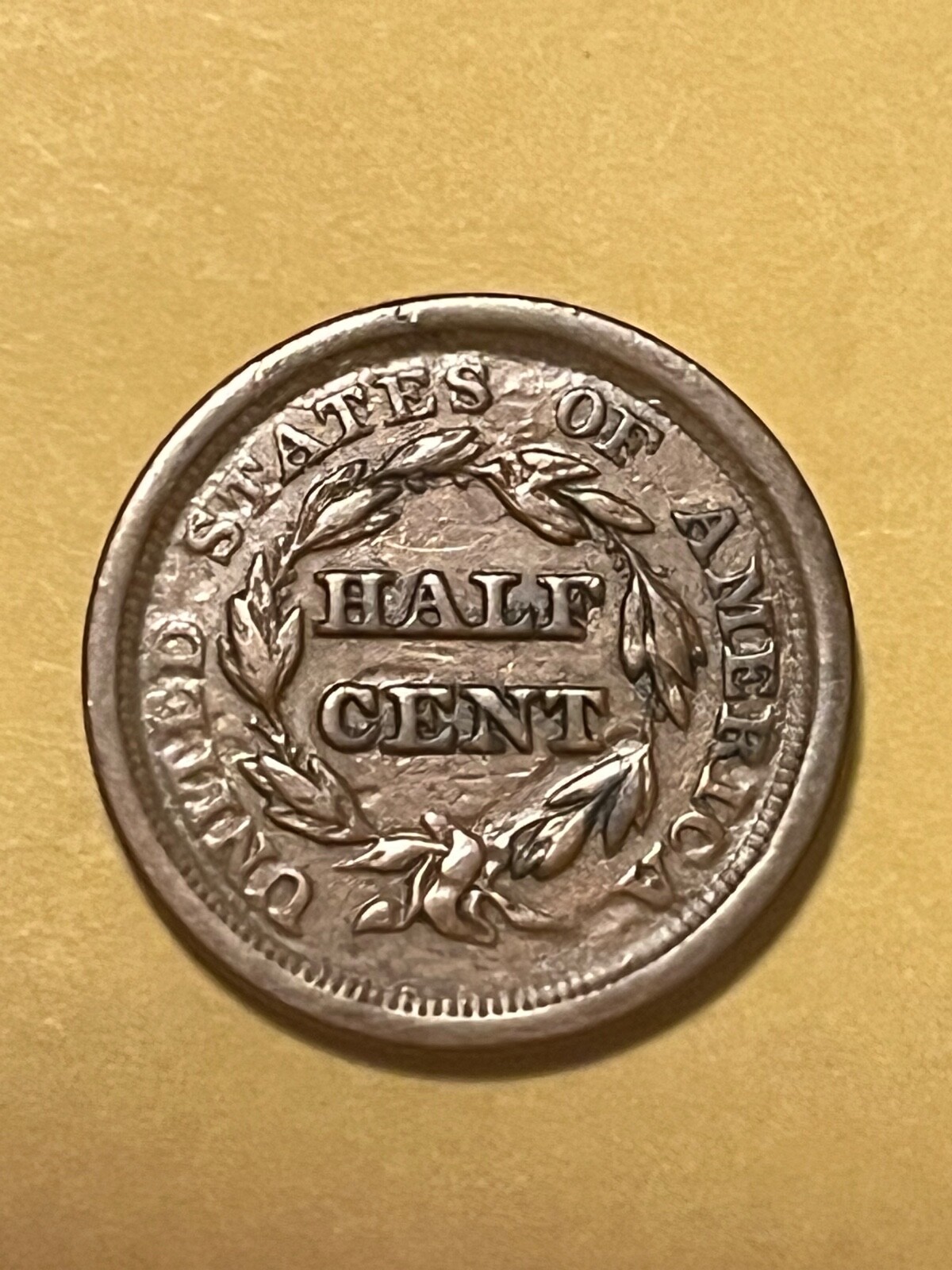 Picture 4 of 6