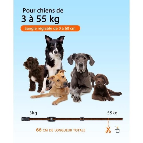 2 colliers dressage chien 2600m IP67 rechargeable vibration télécommande Vert - Picture 10 of 11