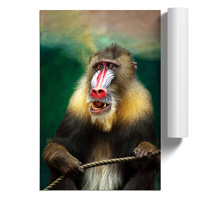 Mandrill Baboon Monkey Unframed Wall Art Poster Print Home Decor Living Room