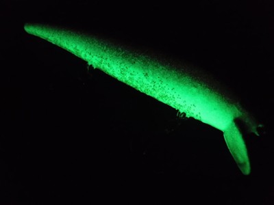 Customized Bomber Long A Screw Tail Floating Jerk Bait Fishing Lure Glow Walleye